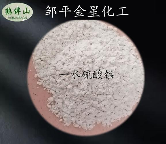 山东省邹平县金星化工 一水硫酸镁与无水硫酸镁——白色粉末硫酸镁的专业制造商